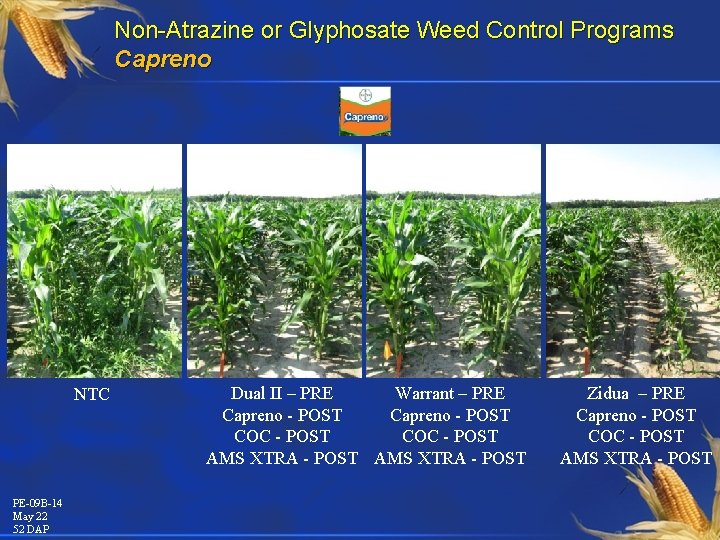 Non-Atrazine or Glyphosate Weed Control Programs Capreno NTC PE-09 B-14 May 22 52 DAP