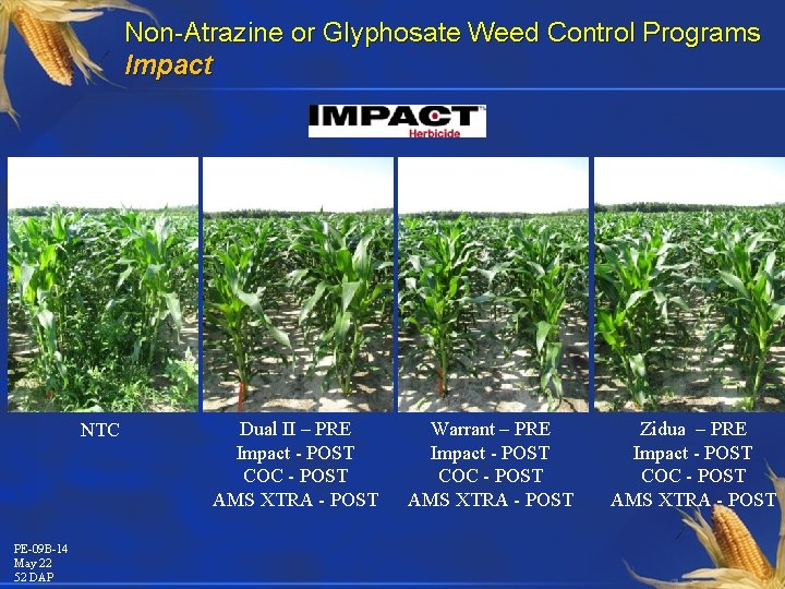 Non-Atrazine or Glyphosate Weed Control Programs Impact NTC PE-09 B-14 May 22 52 DAP