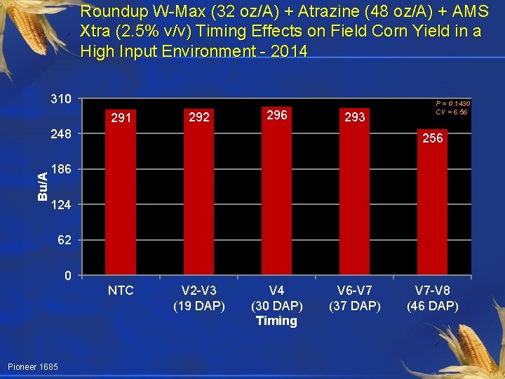 Roundup W-Max (32 oz/A) + Atrazine (48 oz/A) + AMS Xtra (2. 5% v/v)