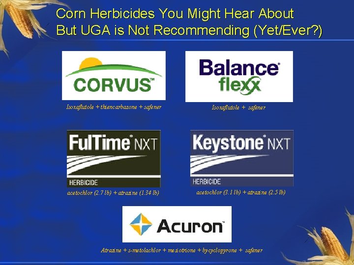 Corn Herbicides You Might Hear About But UGA is Not Recommending (Yet/Ever? ) Isoxaflutole