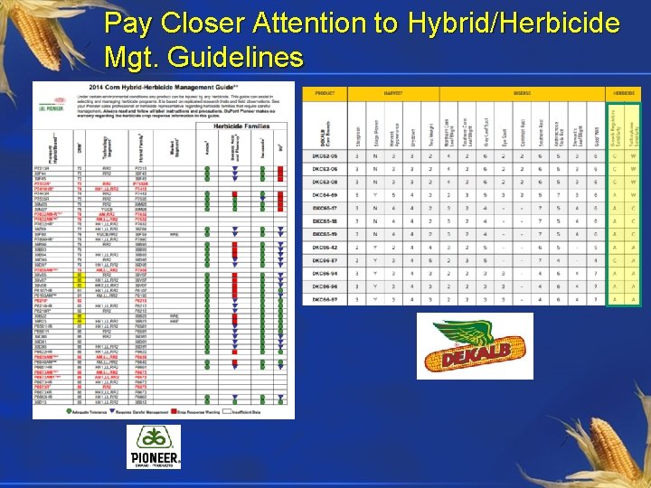 Pay Closer Attention to Hybrid/Herbicide Mgt. Guidelines 