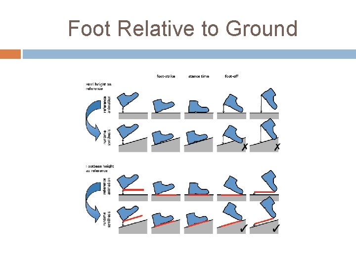 Foot Relative to Ground 