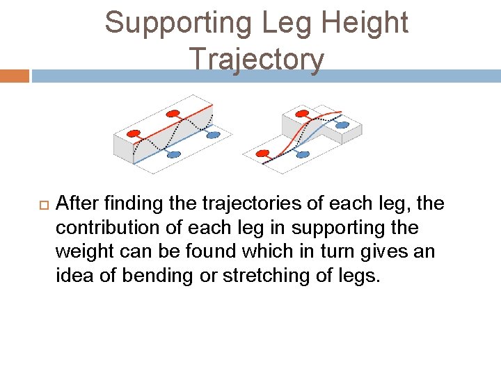 Supporting Leg Height Trajectory After finding the trajectories of each leg, the contribution of