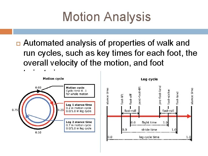 Motion Analysis Automated analysis of properties of walk and run cycles, such as key
