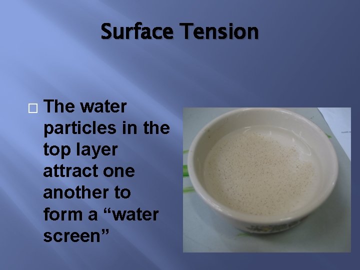 Surface Tension � The water particles in the top layer attract one another to