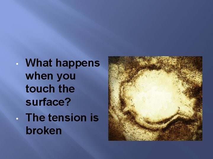  • • What happens when you touch the surface? The tension is broken