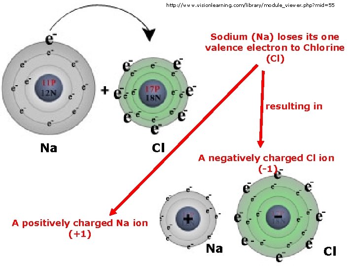 http: //www. visionlearning. com/library/module_viewer. php? mid=55 Sodium (Na) loses its one valence electron to
