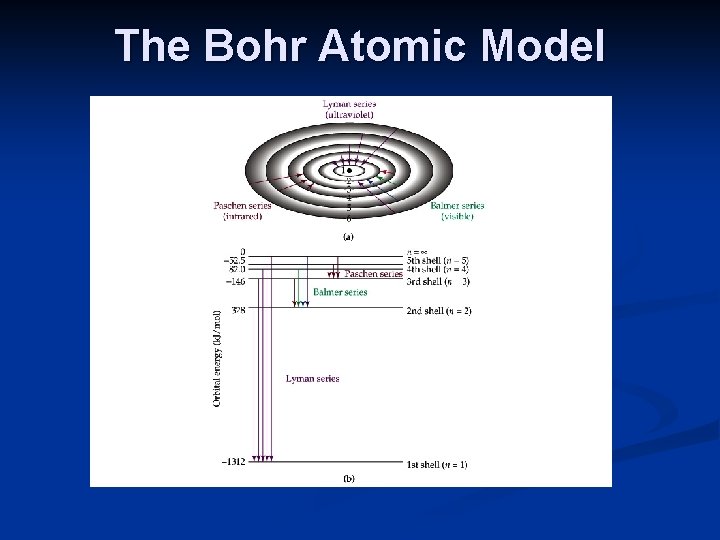 The Bohr Atomic Model 