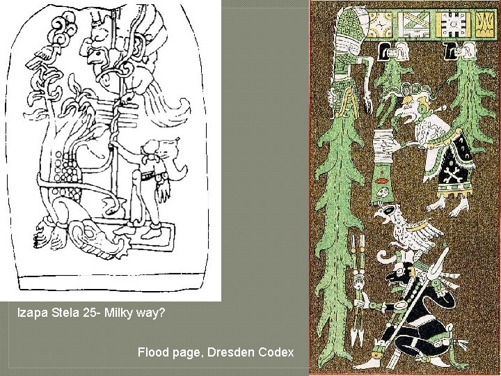 Izapa Stela 25 - Milky way? Flood page, Dresden Codex 