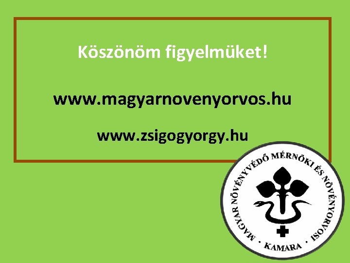 Köszönöm figyelmüket! www. magyarnovenyorvos. hu www. zsigogyorgy. hu 