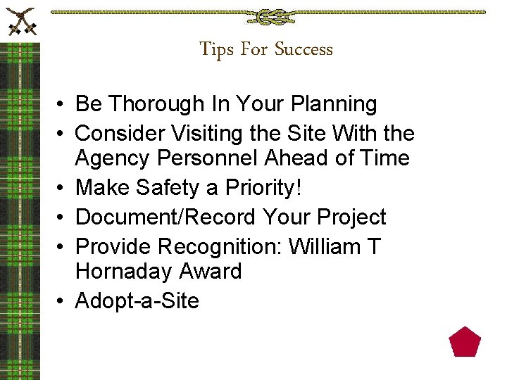 Tips For Success • Be Thorough In Your Planning • Consider Visiting the Site