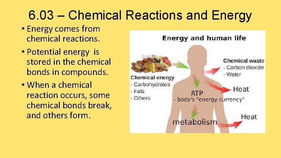 6. 03 – Chemical Reactions and Energy • Energy comes from chemical reactions. •