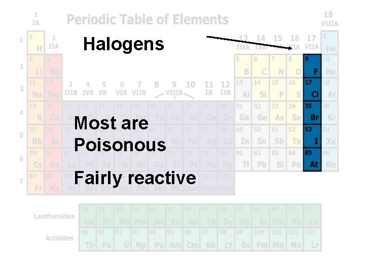 Halogens Most are Poisonous Fairly reactive 