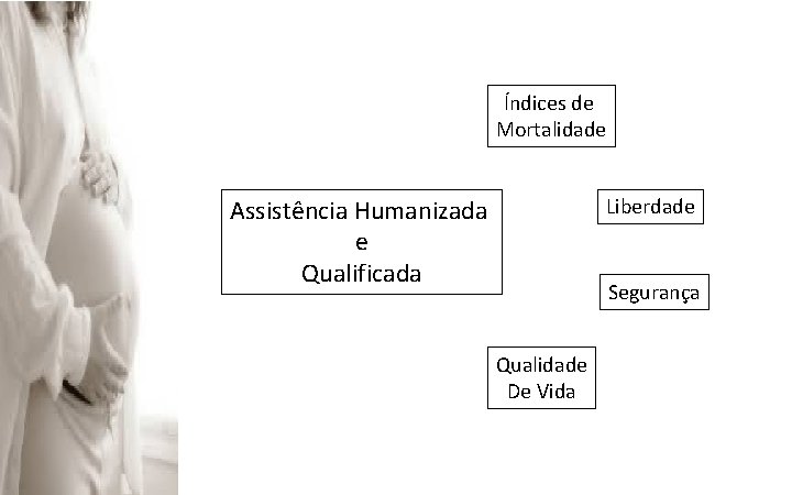 Índices de Mortalidade Liberdade Assistência Humanizada e Qualificada Segurança Qualidade De Vida 