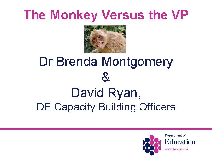 The Monkey Versus the VP Dr Brenda Montgomery & David Ryan, DE Capacity Building
