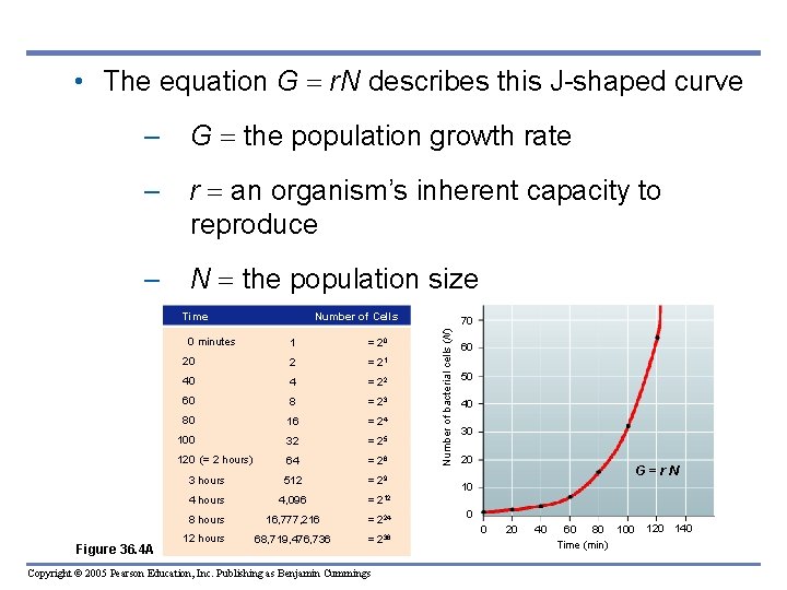 • The equation G r. N describes this J-shaped curve – G the • The equation G r. N describes this J-shaped curve – G the