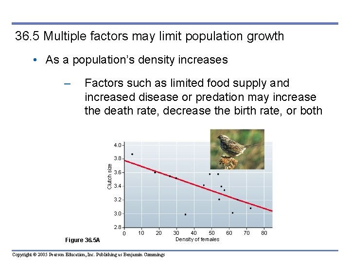 36. 5 Multiple factors may limit population growth • As a population’s density increases 36. 5 Multiple factors may limit population growth • As a population’s density increases
