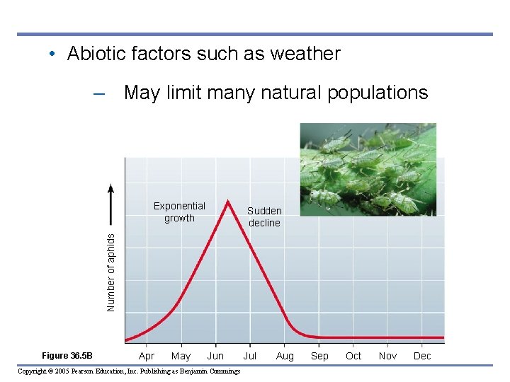 • Abiotic factors such as weather – May limit many natural populations Exponential • Abiotic factors such as weather – May limit many natural populations Exponential