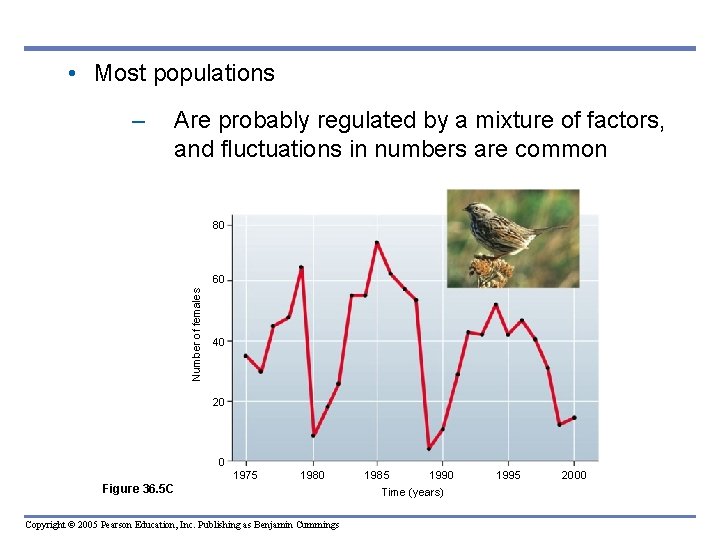• Most populations – Are probably regulated by a mixture of factors, and • Most populations – Are probably regulated by a mixture of factors, and