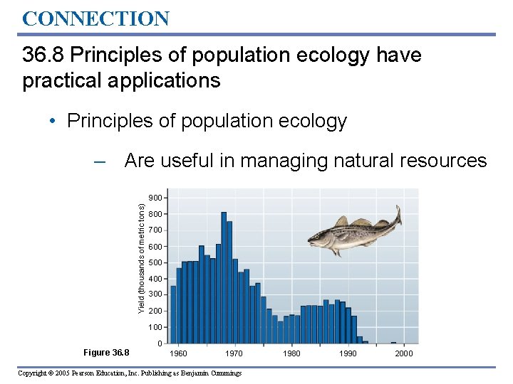 CONNECTION 36. 8 Principles of population ecology have practical applications • Principles of population CONNECTION 36. 8 Principles of population ecology have practical applications • Principles of population