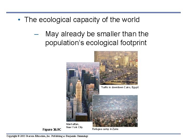 • The ecological capacity of the world – May already be smaller than • The ecological capacity of the world – May already be smaller than