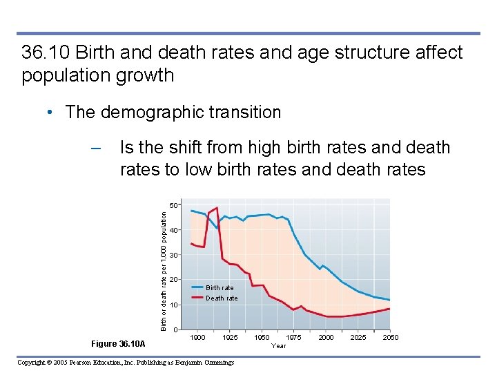 36. 10 Birth and death rates and age structure affect population growth • The 36. 10 Birth and death rates and age structure affect population growth • The