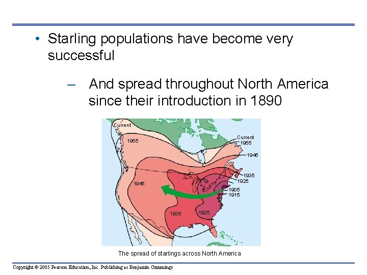 • Starling populations have become very successful – And spread throughout North America • Starling populations have become very successful – And spread throughout North America