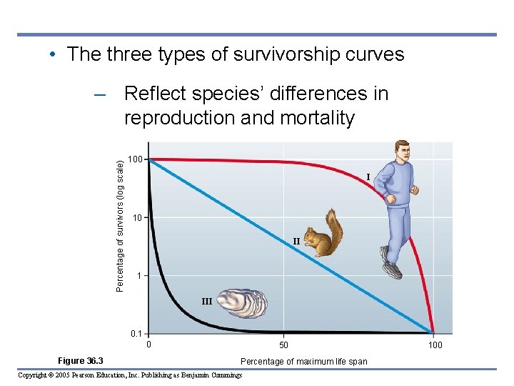 • The three types of survivorship curves Percentage of survivors (log scale) – • The three types of survivorship curves Percentage of survivors (log scale) –