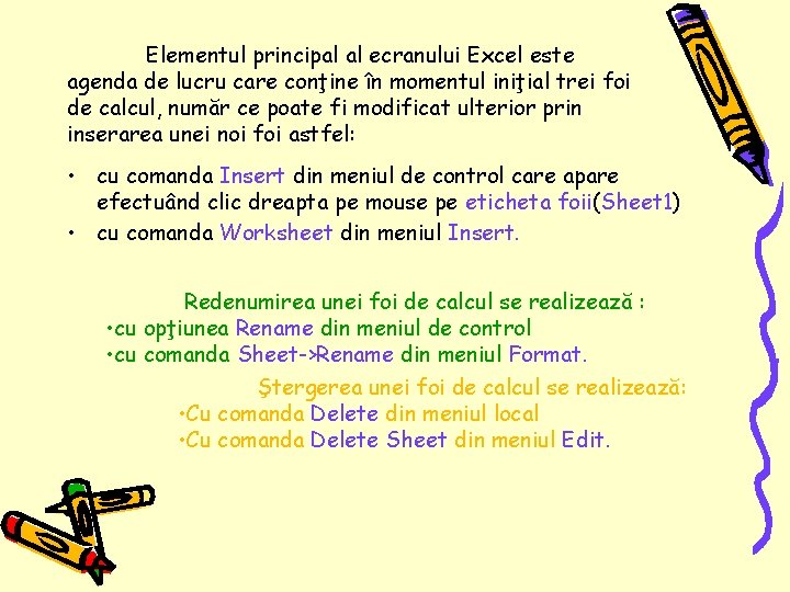 Elementul principal al ecranului Excel este agenda de lucru care conţine în momentul iniţial