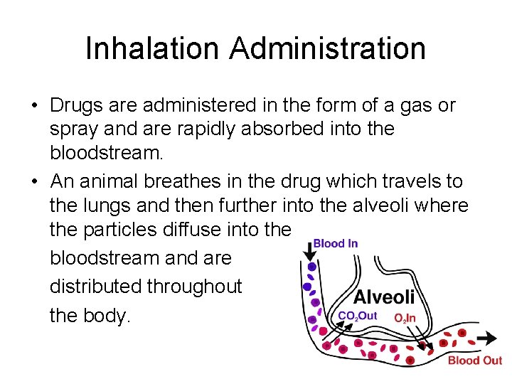 Inhalation Administration • Drugs are administered in the form of a gas or spray