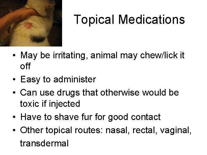 Topical Medications • May be irritating, animal may chew/lick it off • Easy to