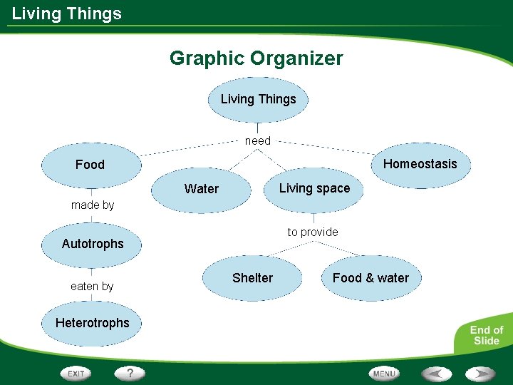 Living Things Graphic Organizer Living Things need Homeostasis Food Living space Water made by