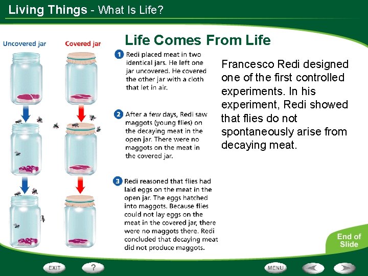 Living Things - What Is Life? Life Comes From Life Francesco Redi designed one