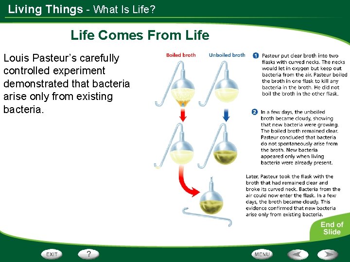 Living Things - What Is Life? Life Comes From Life Louis Pasteur’s carefully controlled