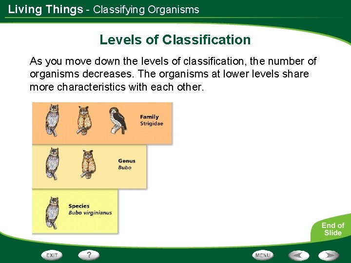 Living Things - Classifying Organisms Levels of Classification As you move down the levels