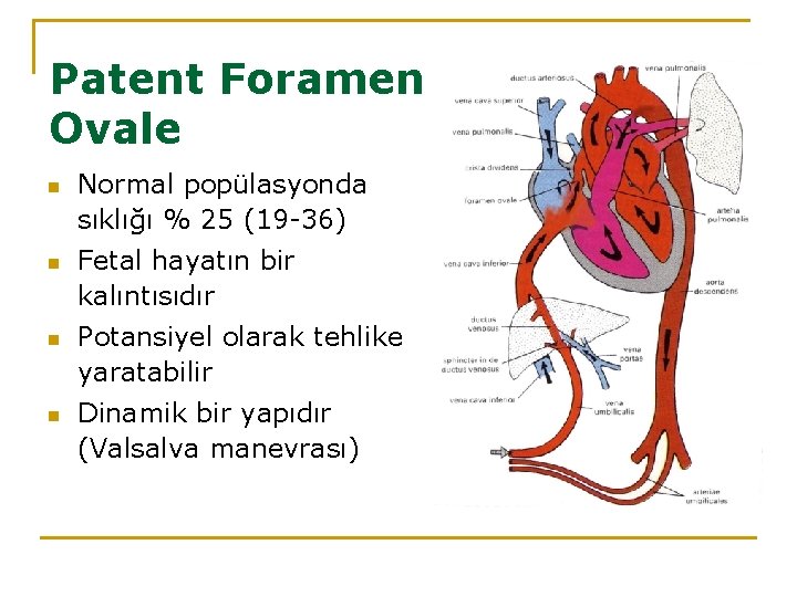 Patent Foramen Ovale n n Normal popülasyonda sıklığı % 25 (19 -36) Fetal hayatın
