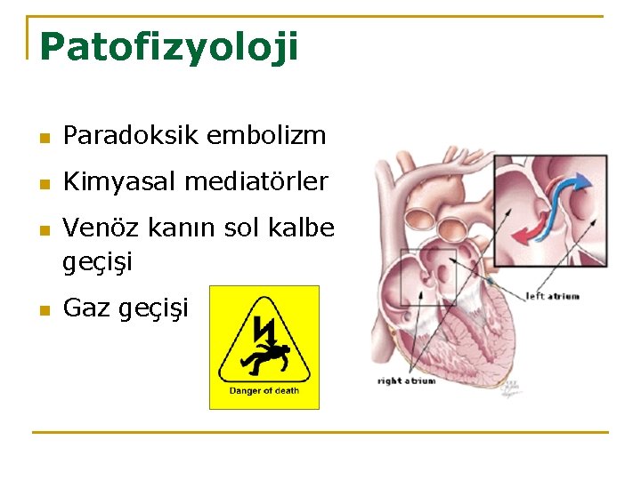 Patofizyoloji n Paradoksik embolizm n Kimyasal mediatörler n n Venöz kanın sol kalbe geçişi