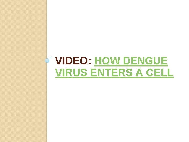 VIDEO: HOW DENGUE VIRUS ENTERS A CELL 