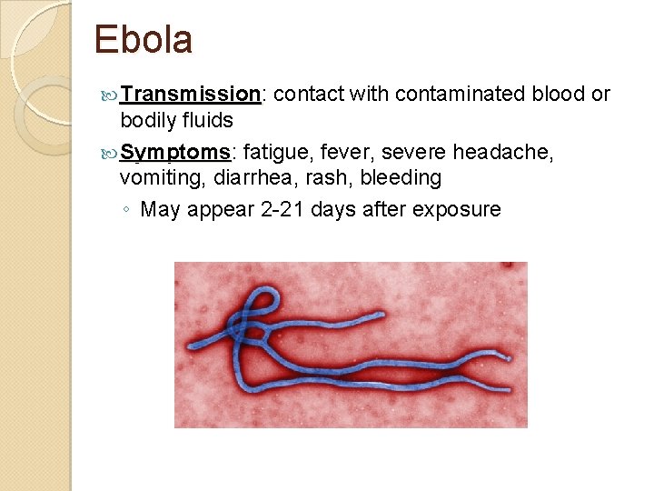 Ebola Transmission: Transmission contact with contaminated blood or bodily fluids Symptoms: Symptoms fatigue, fever,