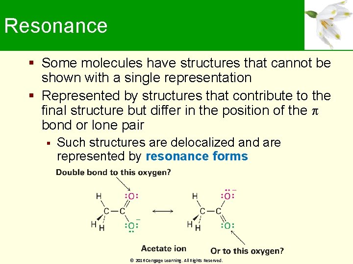 Resonance Some molecules have structures that cannot be shown with a single representation Represented