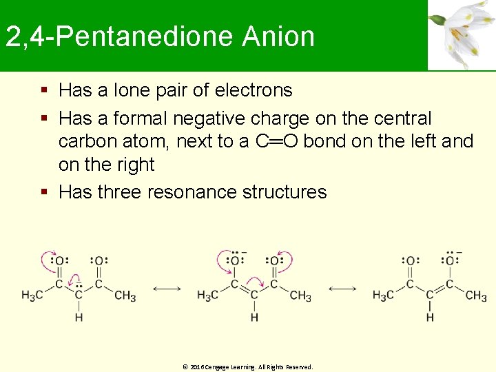 2, 4 -Pentanedione Anion Has a lone pair of electrons Has a formal negative