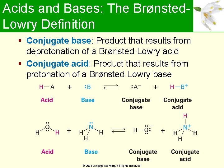 Acids and Bases: The Brønsted. Lowry Definition Conjugate base: Product that results from deprotonation