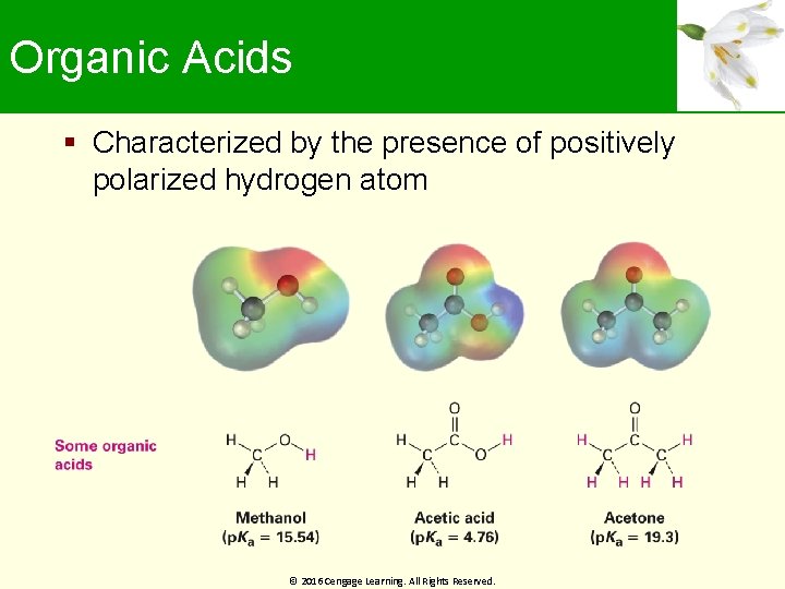 Organic Acids Characterized by the presence of positively polarized hydrogen atom © 2016 Cengage