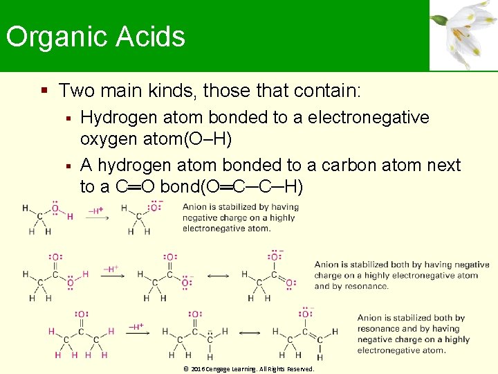 Organic Acids Two main kinds, those that contain: Hydrogen atom bonded to a electronegative