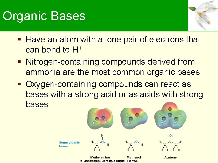 Organic Bases Have an atom with a lone pair of electrons that can bond