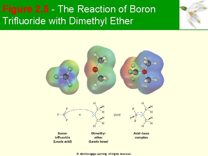 Figure 2. 5 - The Reaction of Boron Trifluoride with Dimethyl Ether © 2016