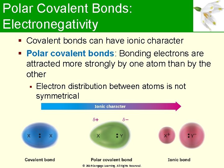 Polar Covalent Bonds: Electronegativity Covalent bonds can have ionic character Polar covalent bonds: Bonding