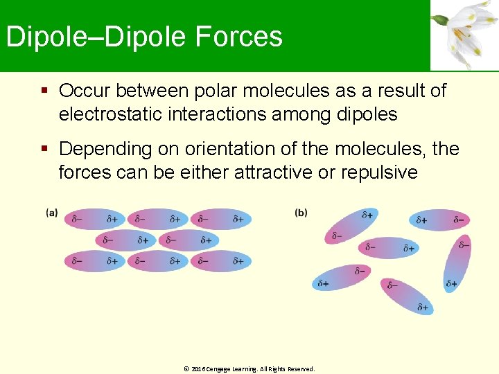 Dipole–Dipole Forces Occur between polar molecules as a result of electrostatic interactions among dipoles