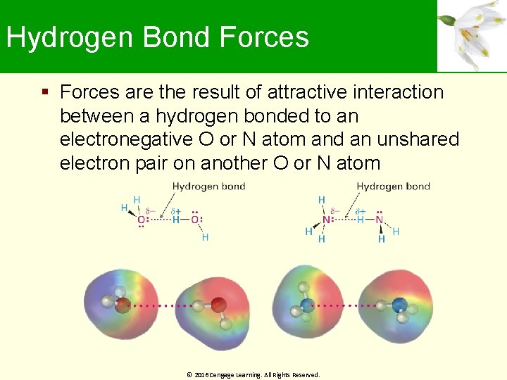 Hydrogen Bond Forces are the result of attractive interaction between a hydrogen bonded to