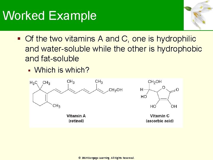 Worked Example Of the two vitamins A and C, one is hydrophilic and water-soluble